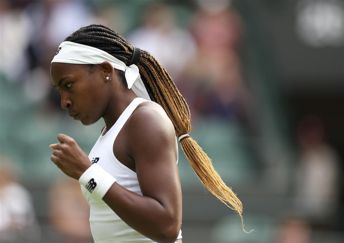 米接力摘金 米接力摘金