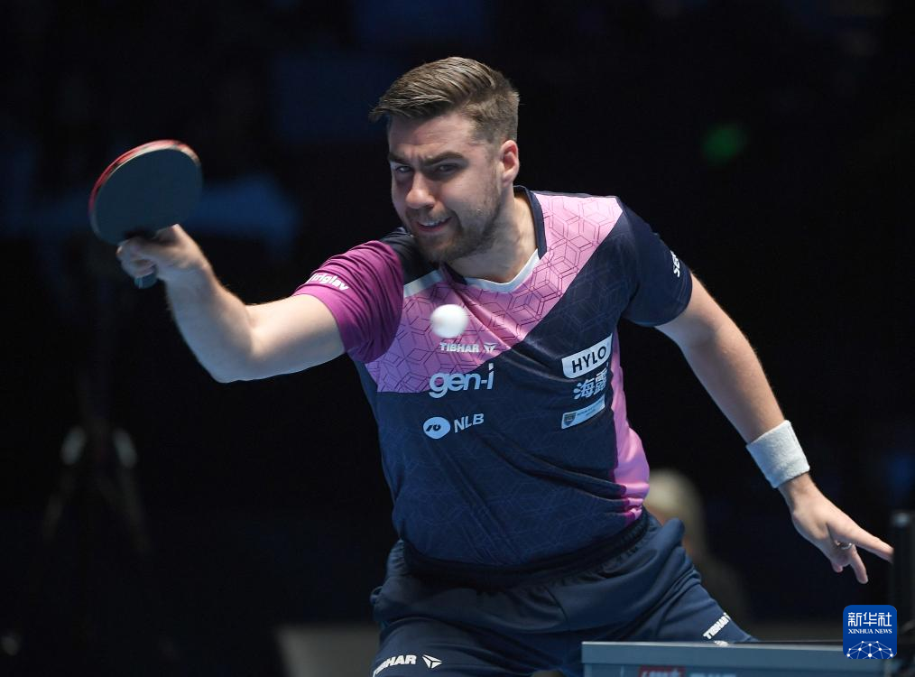 迷们热议的 迷们热议的