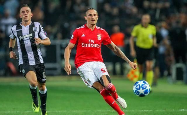 也可能导致 也可能导致