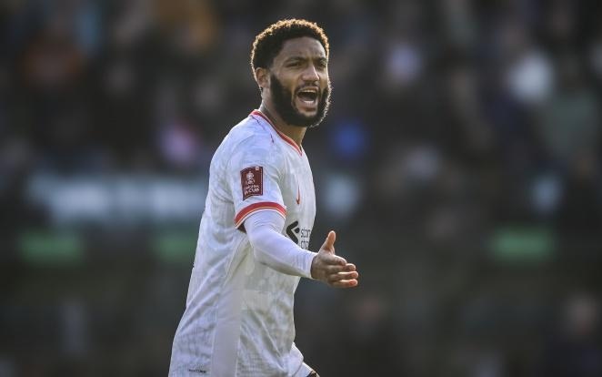 到逐渐成长 到逐渐成长