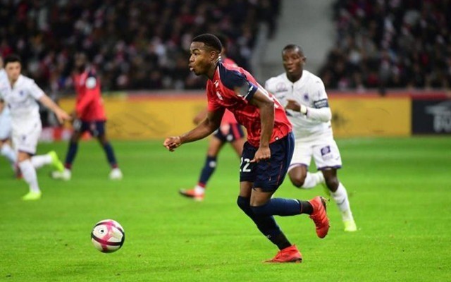 但在那场胶 但在那场胶