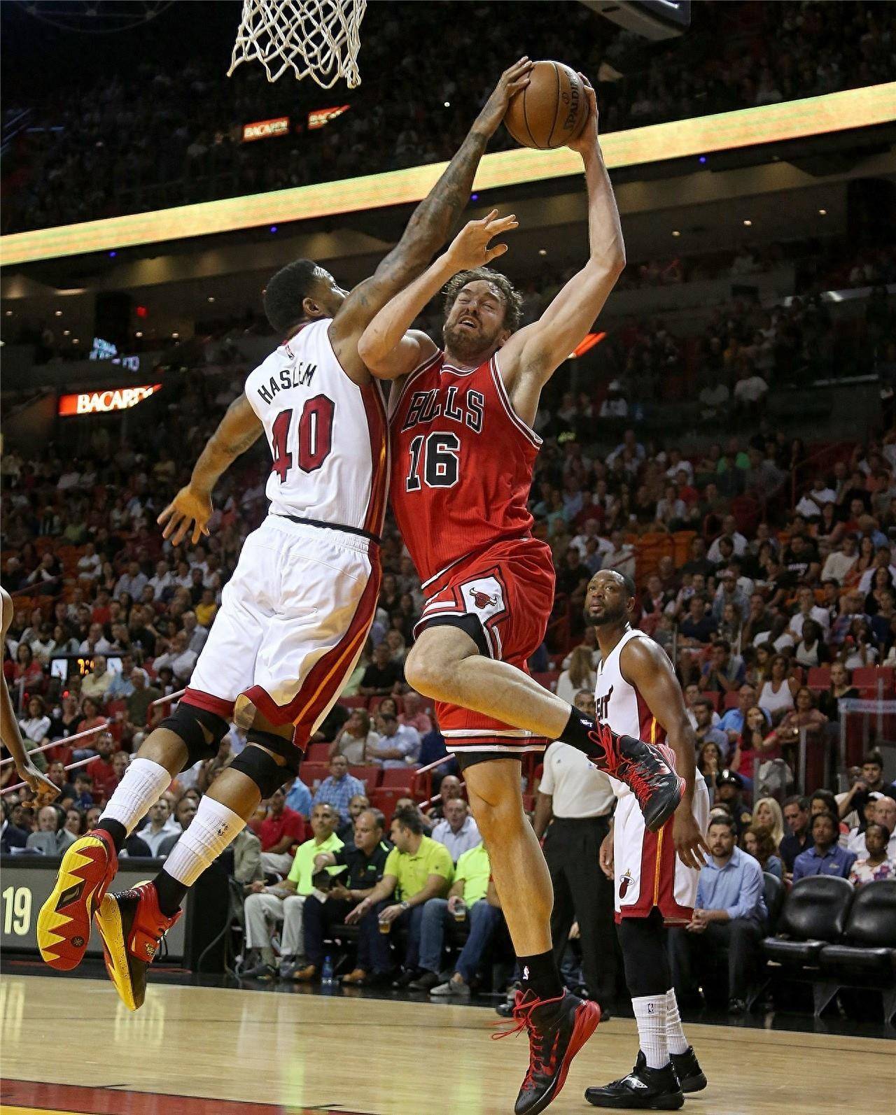 仅捍卫了自 仅捍卫了自